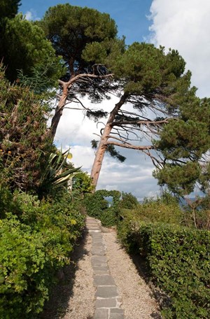 portofino castello brown